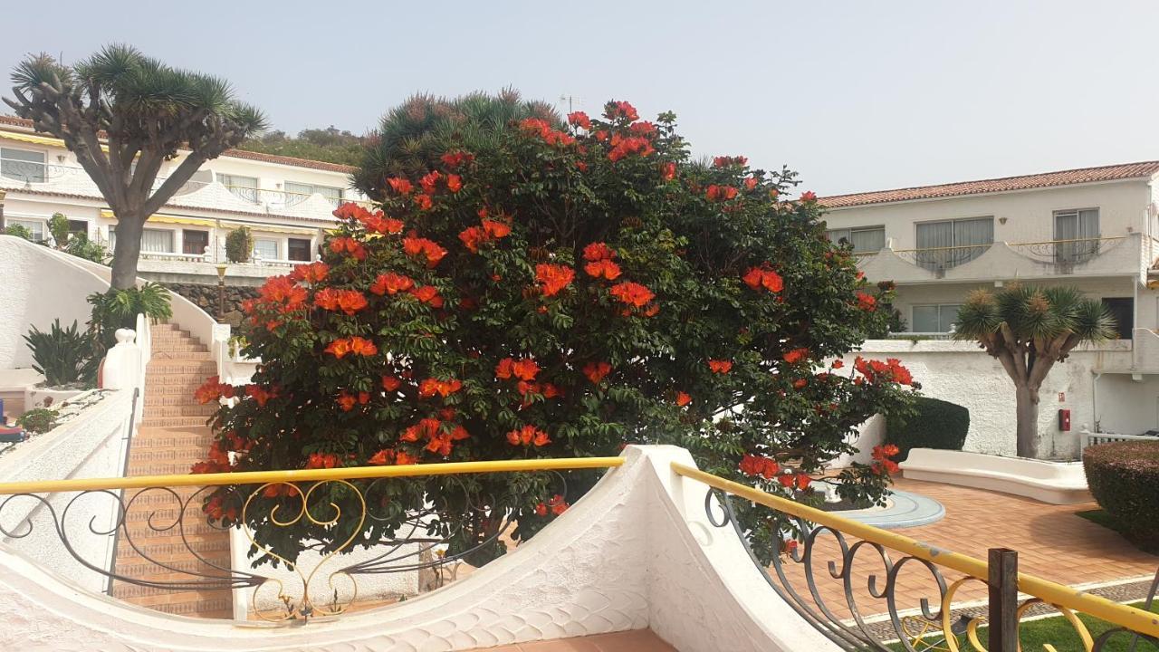 Madre Tierra Apartment Puerto de la Madera 外观 照片